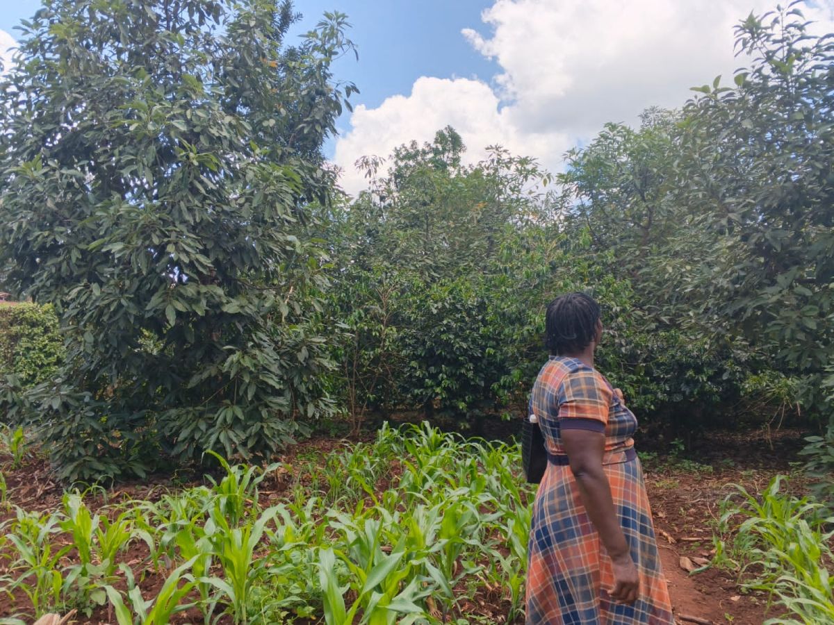 Rose – From Teacher to Farmer