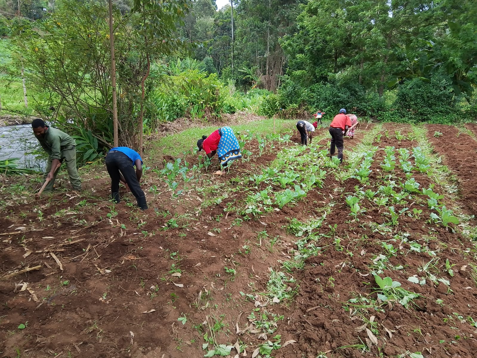 Nohefee youth in their farm
