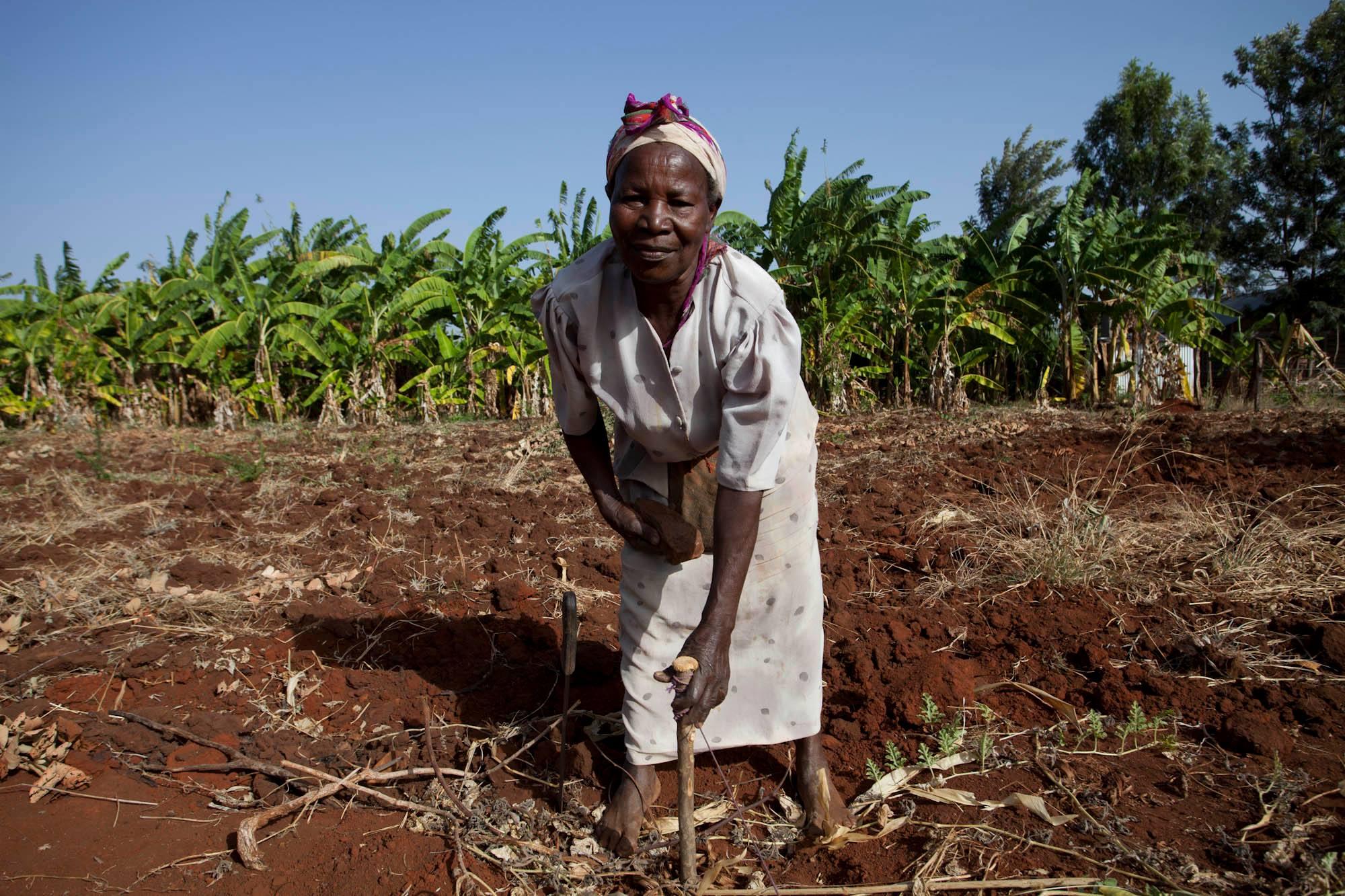 Machakos farmer
